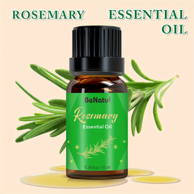 12 Flavors Essential Oils for - Long-Lasting Fragrance, High-Quality Liquid Oils for Diffusers, Humidifiers, Candles & Soap Making - Lavender, Mint, Frankincense, Sweet Orange, Eucalyptus - Rich Aroma, Local Warehouse, Repeat