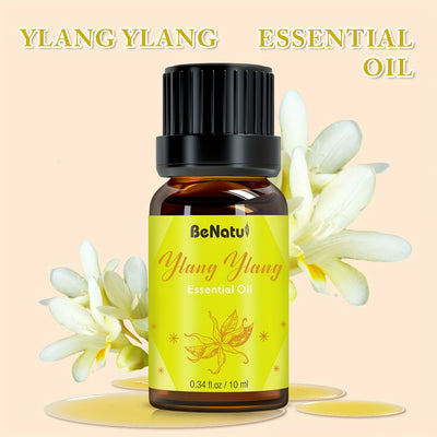 12 Flavors Essential Oils for - Long-Lasting Fragrance, High-Quality Liquid Oils for Diffusers, Humidifiers, Candles & Soap Making - Lavender, Mint, Frankincense, Sweet Orange, Eucalyptus - Rich Aroma, Local Warehouse, Repeat