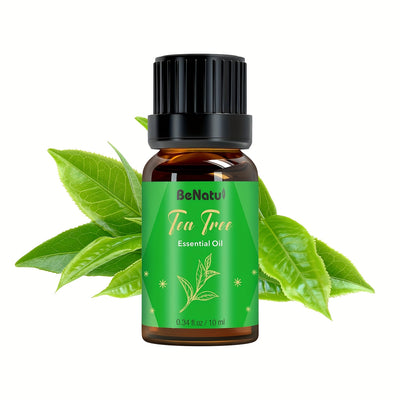 12 Flavors Essential Oils for - Long-Lasting Fragrance, High-Quality Liquid Oils for Diffusers, Humidifiers, Candles & Soap Making - Lavender, Mint, Frankincense, Sweet Orange, Eucalyptus - Rich Aroma, Local Warehouse, Repeat