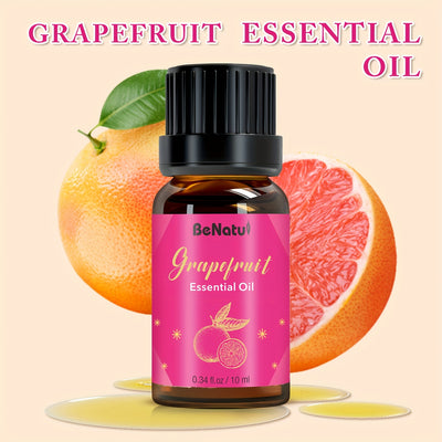 12 Flavors Essential Oils for - Long-Lasting Fragrance, High-Quality Liquid Oils for Diffusers, Humidifiers, Candles & Soap Making - Lavender, Mint, Frankincense, Sweet Orange, Eucalyptus - Rich Aroma, Local Warehouse, Repeat