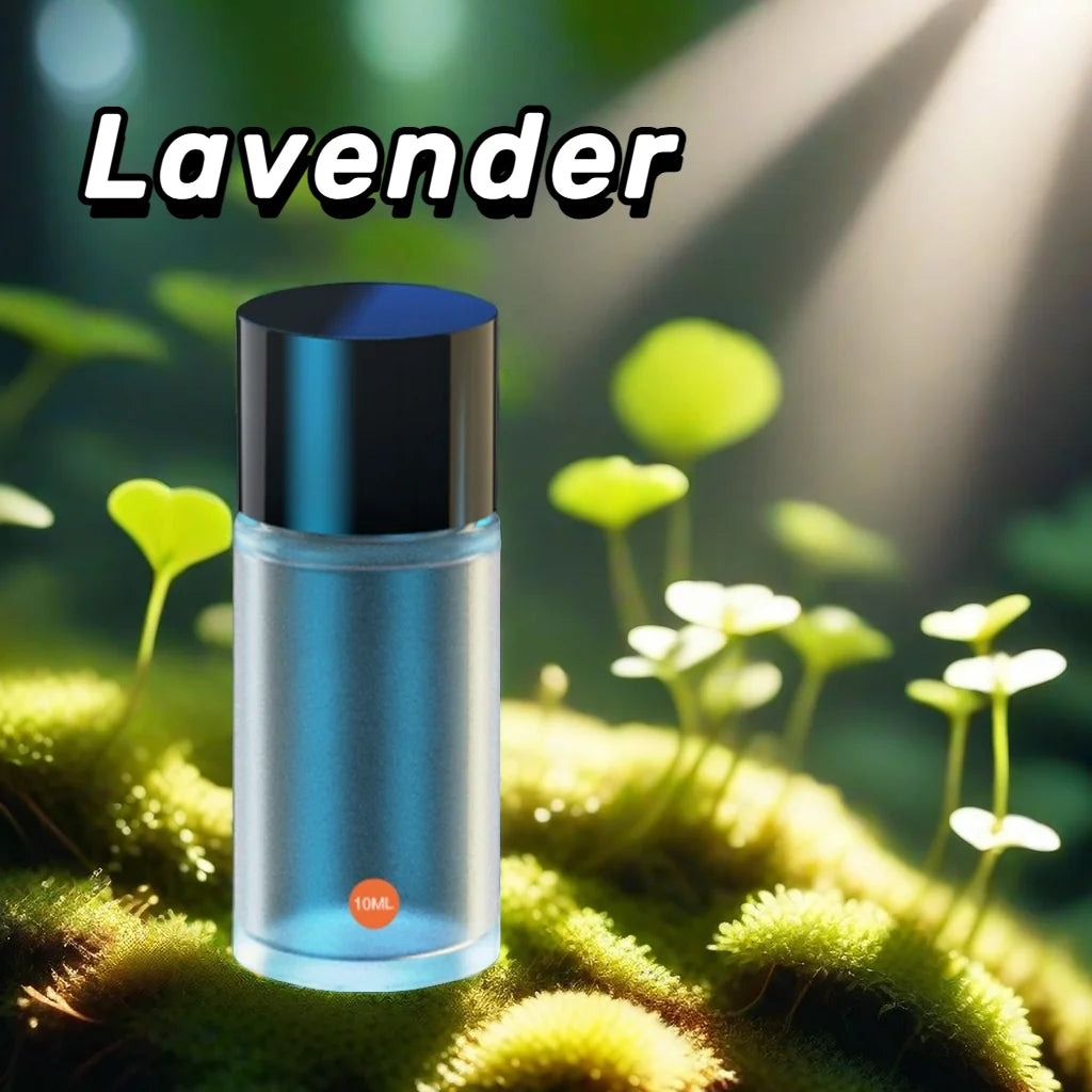 Bestselling Car Aromatherapy Supplement Liquid(Excluding Machine) Strong Aroma 10ml Essential Oil Car Perfume Air Freshener