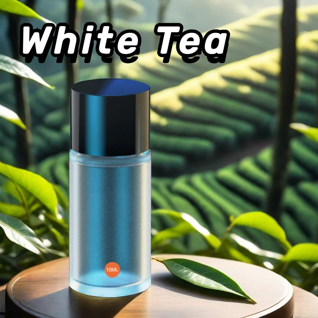 Bestselling Car Aromatherapy Supplement Liquid(Excluding Machine) Strong Aroma 10ml Essential Oil Car Perfume Air Freshener