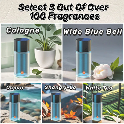 Bestselling Car Aromatherapy Supplement Liquid(Excluding Machine) Strong Aroma 10ml Essential Oil Car Perfume Air Freshener
