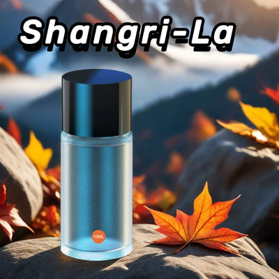 Bestselling Car Aromatherapy Supplement Liquid(Excluding Machine) Strong Aroma 10ml Essential Oil Car Perfume Air Freshener