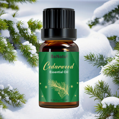 12 Flavors Essential Oils for - Long-Lasting Fragrance, High-Quality Liquid Oils for Diffusers, Humidifiers, Candles & Soap Making - Lavender, Mint, Frankincense, Sweet Orange, Eucalyptus - Rich Aroma, Local Warehouse, Repeat